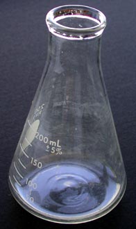 Erlenmeyer Flask